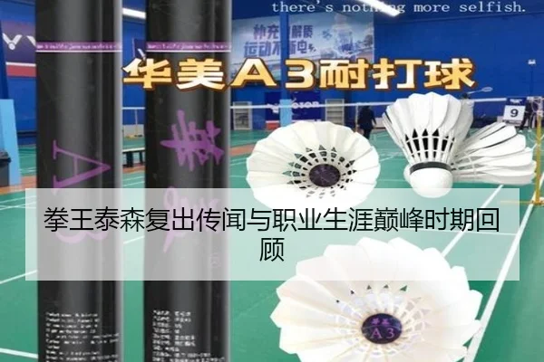 拳王泰森复出传闻与职业生涯巅峰时期回顾